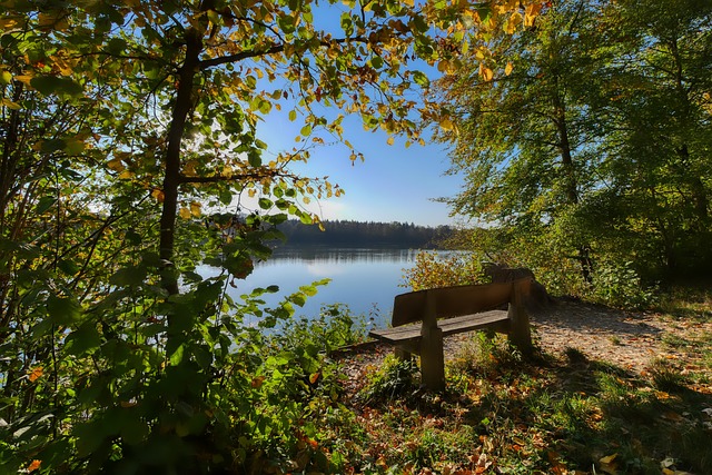 联赛表现出 联赛表现出