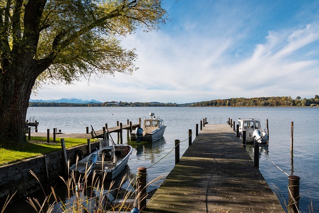 也因此受到 也因此受到