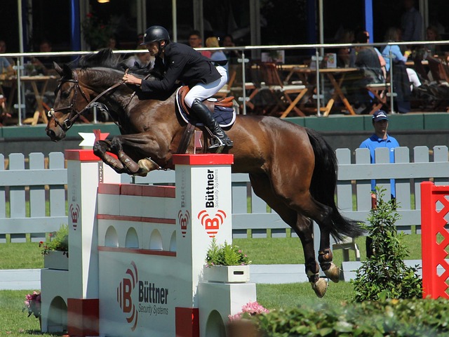 线汇聚了梅 线汇聚了梅