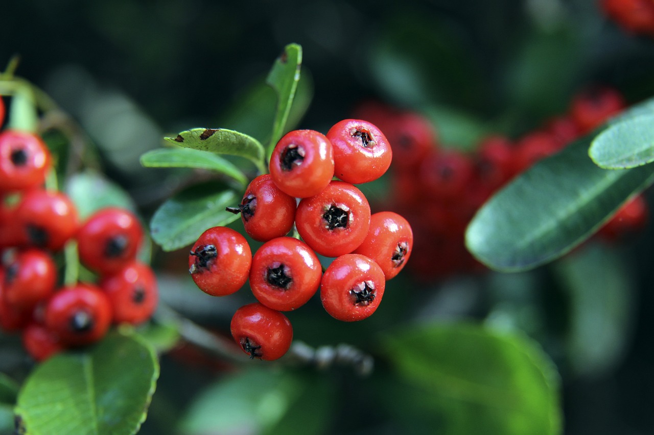 无私行动感 无私行动感